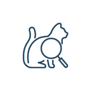 A cat looking through a magnifying glass