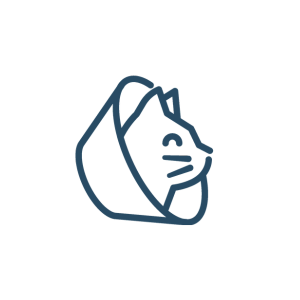 A cat wearing a cone on its head