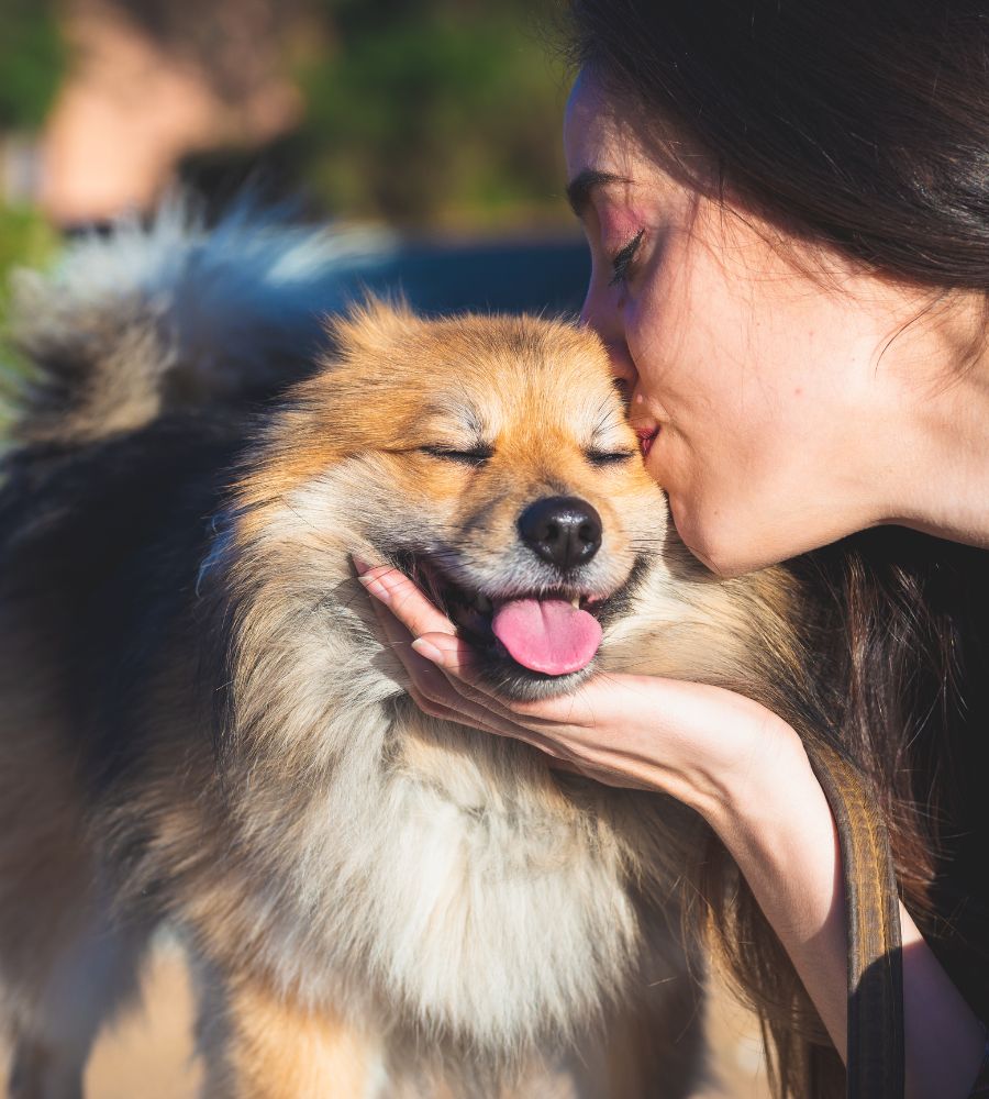 A person kissing their dog on the nose