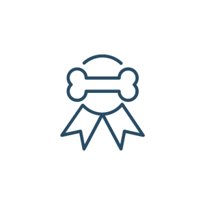 a dog bone with a ribbon around it