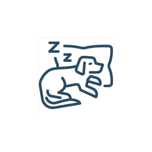 a-dog-sleeping-on-a-pillow