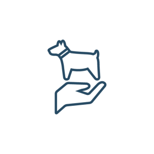 a hand holding a dog