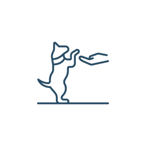 a hand reaching out to a dog