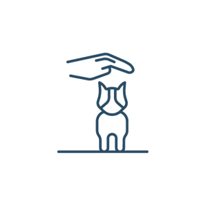 a hand reaching out to touch a dog