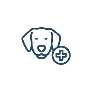 dog-with-a-plus-sign